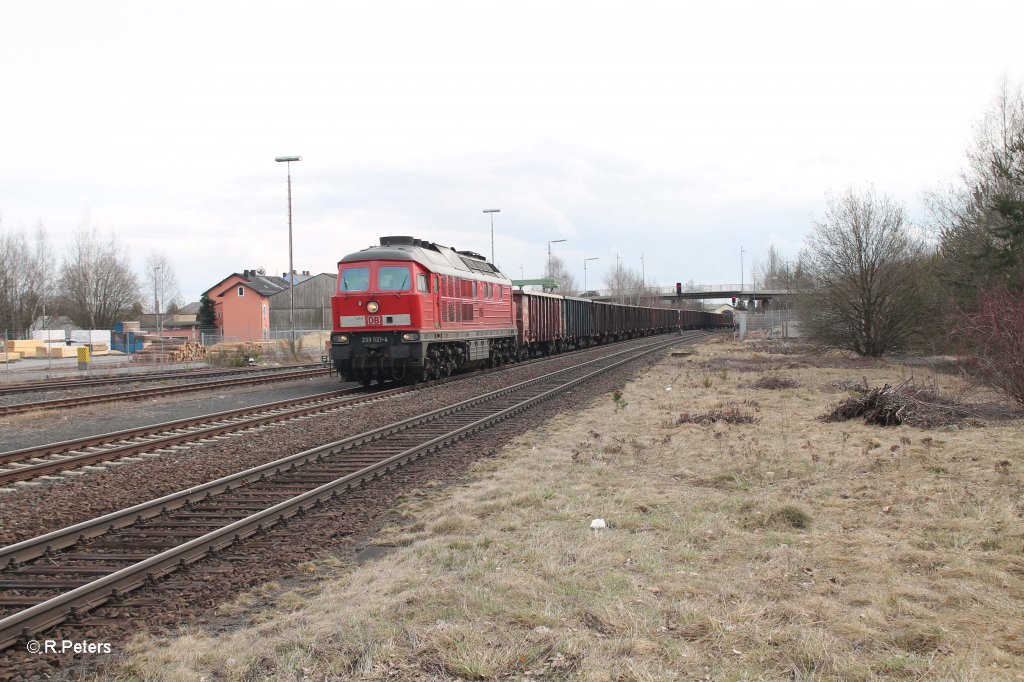 233 521-4 mit gemischten langen Gterzug in Wiesau/Oberpfalz. 12.04.13