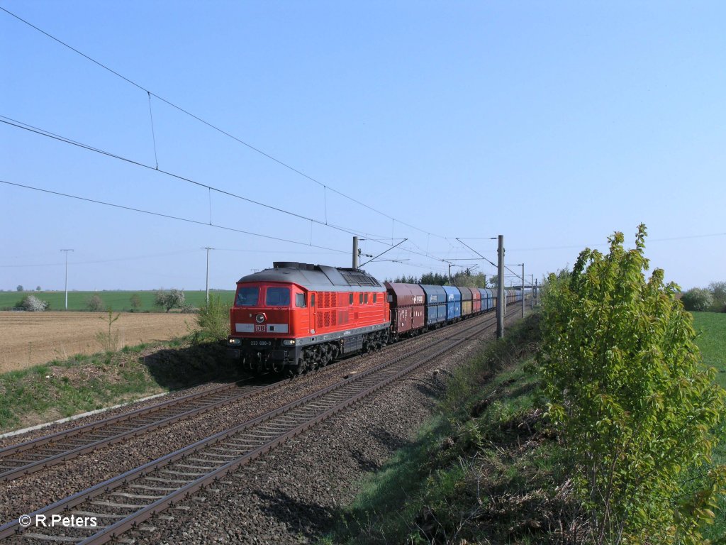 233 698-0 mit leer Polenkohle bei Altegolsheim. 21.04.11