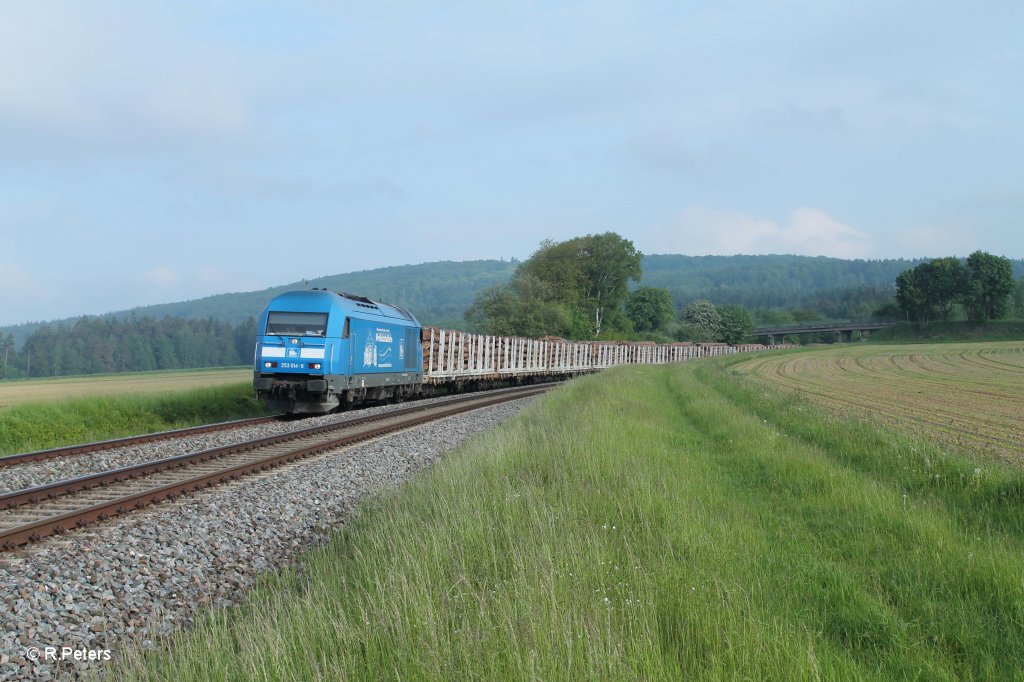 253 014 mit dem Holzzug Plauen - ATW Wiesau bei Oberteich.... am Zugschluss hing die MTEG 118 770. 07.06.13 7:58 Uhr