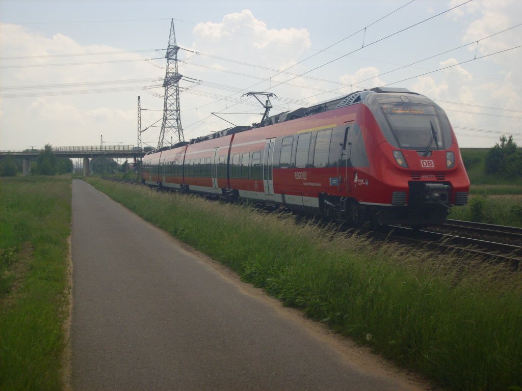 442 771 n�rdlich von Bamberg 08.06.2013