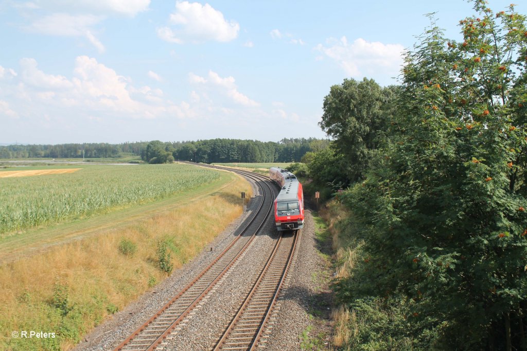 610 020 + 015 als RE 3697 Hof - Regensburg bei Oberteich.06.08.13