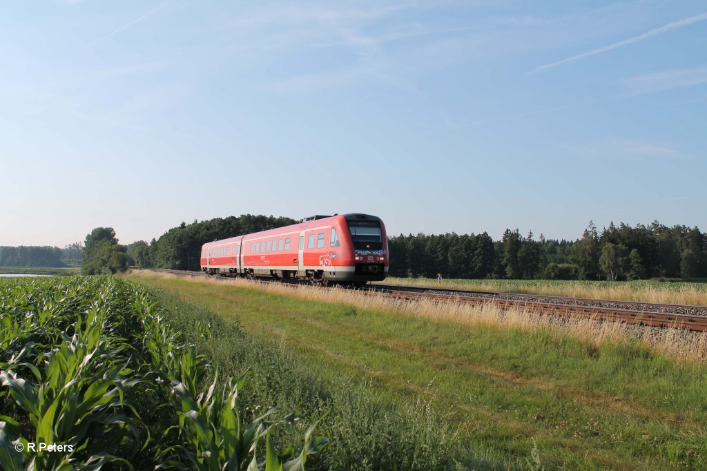 612 159 als RE 3692 Regensburg - Hof bei Oberteich. 17.07.13 