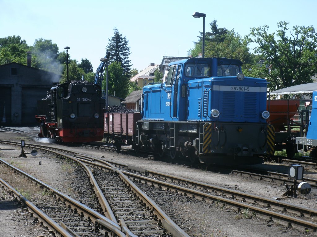 99 1782-4 und 251 901-5,am 20.Juli 2013,in Putbus.