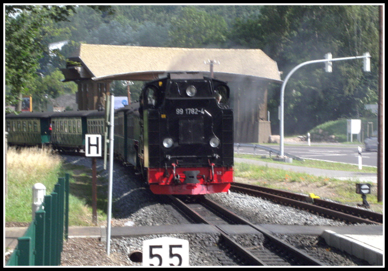 99 1782-4 bei der Einfahrt in den Bahnhof Baabe mit P223