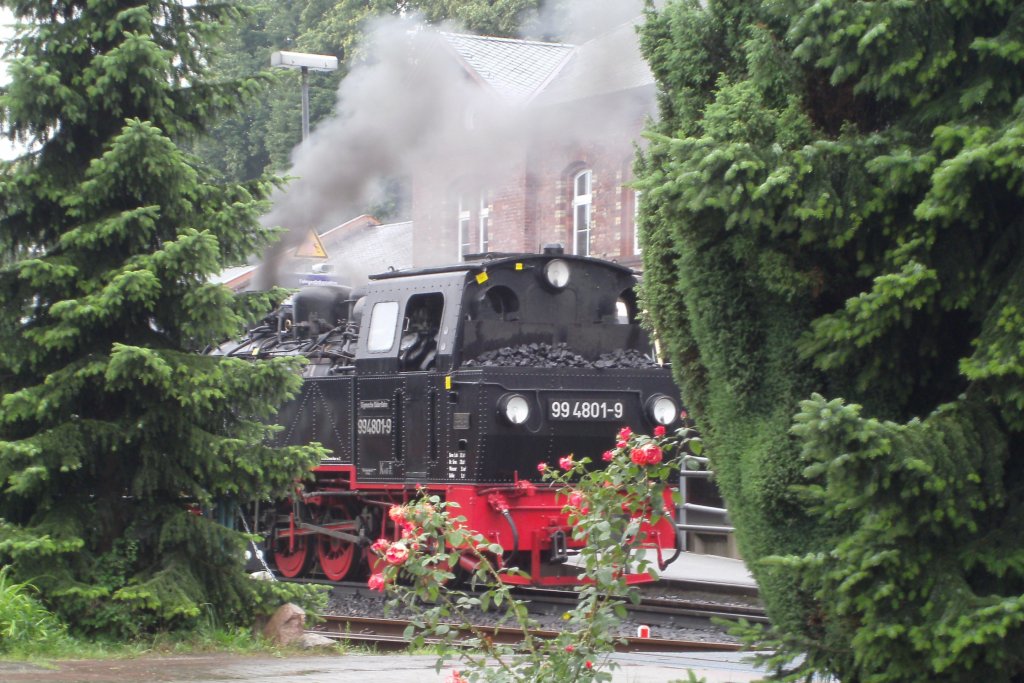 99 4801-9 stand hinter einer Rose im Bahnhof Putbus