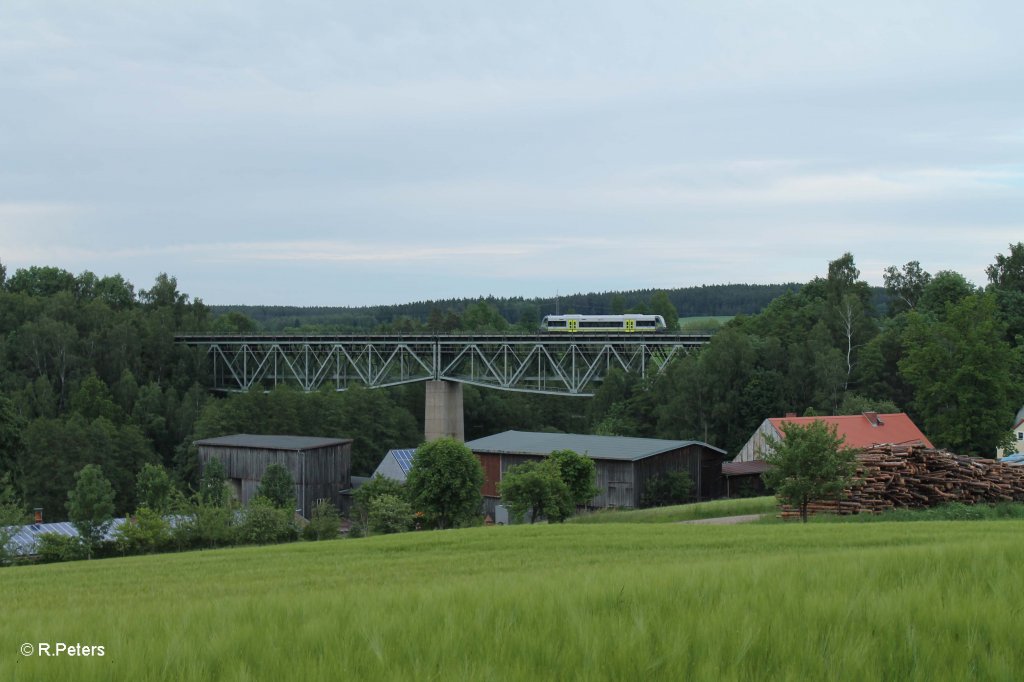 Agiles aus Hof kurz vor Marktredwitz bei Unterthlau.14.06.13