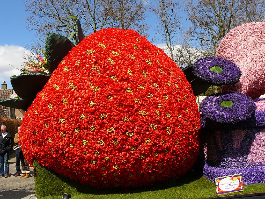 Blumenkorso 2013. Hoofdstraat, Sassenheim 20-04-2013. 

Bloemencorso 2013. Hoofdstraat, Sassenheim 20-04-2013.