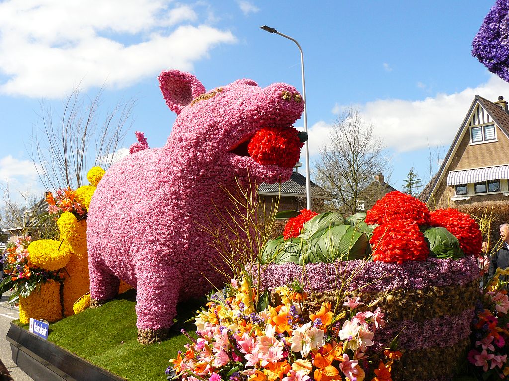 Blumenkorso 2013. Hoofdstraat, Sassenheim 20-04-2013. 

Bloemencorso 2013. Hoofdstraat, Sassenheim 20-04-2013.