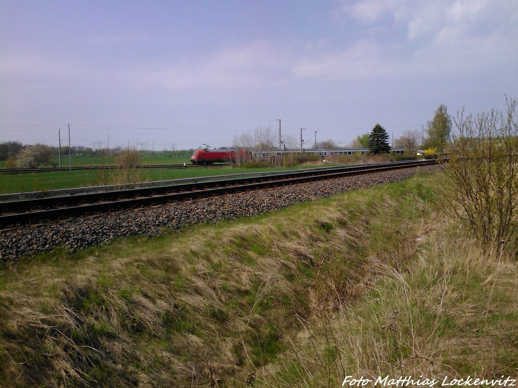 BR 101 mit InterCity kurz vor Bergen auf R�gen am 7.5.13