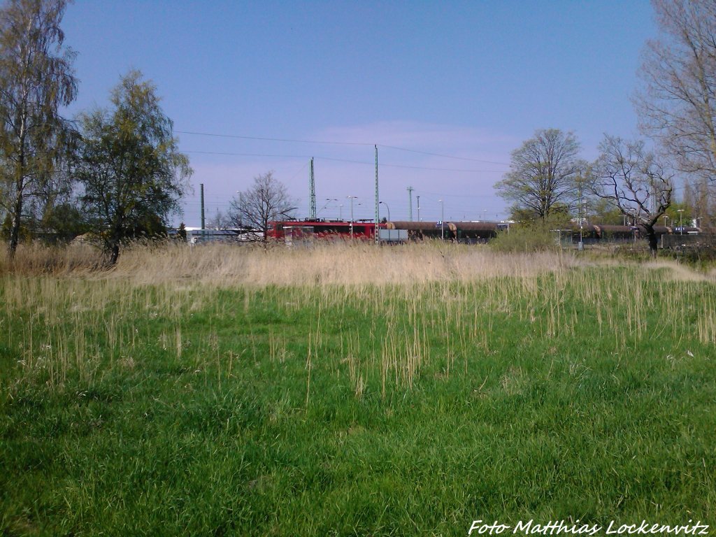 BR 155 mit einem G�terzug bei der Durchfahrt in Bergen auf R�gen am 6.5.13