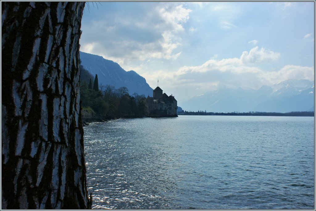 Das Chteau de Chillon am 14.03.2013