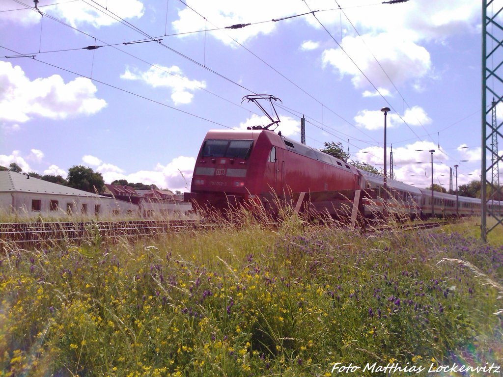 Das Schlusslicht 101 012 kurz vorm Bahnhof Bergen auf R�gen am 16.7.13