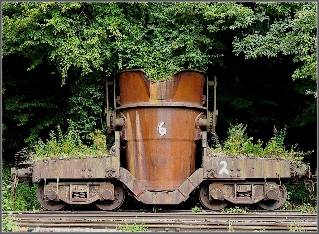Die Natur erobert sich ihr Recht zur�ck. Fond de Gras 13.09.09 (Jeanny)