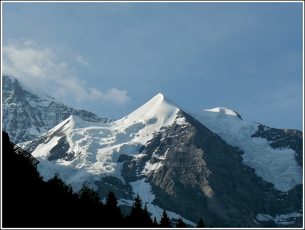 Die Silberh�rner (3695 m) aus der Wengernalpbahn fotografiert am 30.07.2008. (Hans)