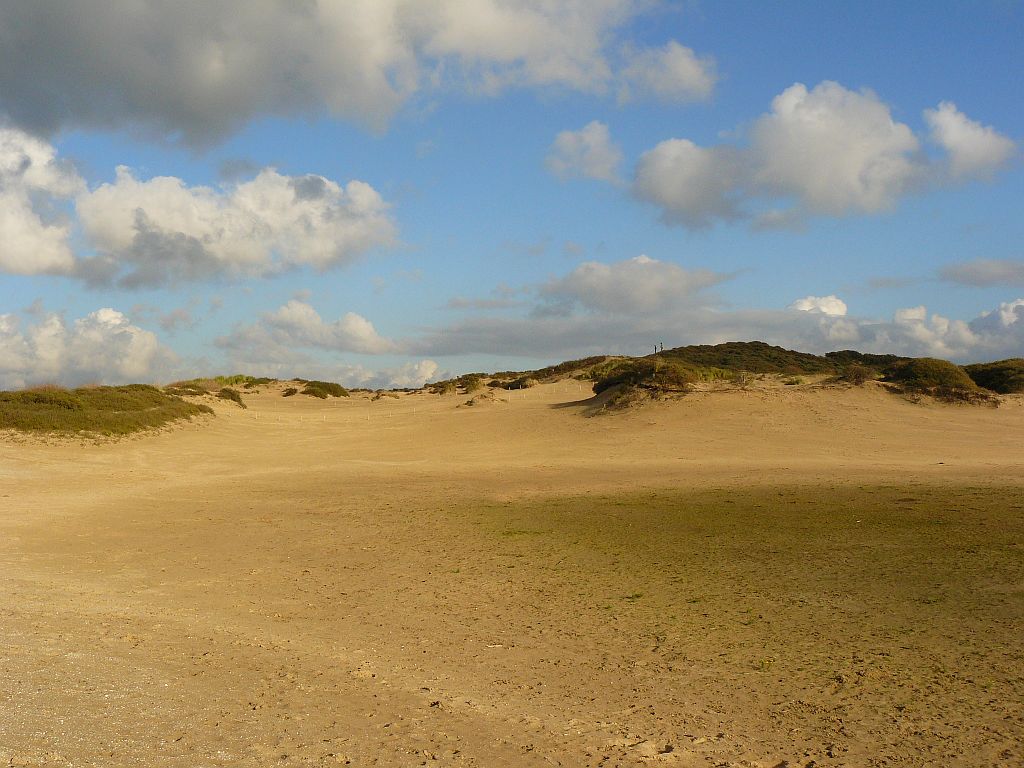 Dne bei Noordwijk am 11-11-2012. 

Zandvlakte in de duinen bij de Zeeweg in Noordwijk 11-11-2012.