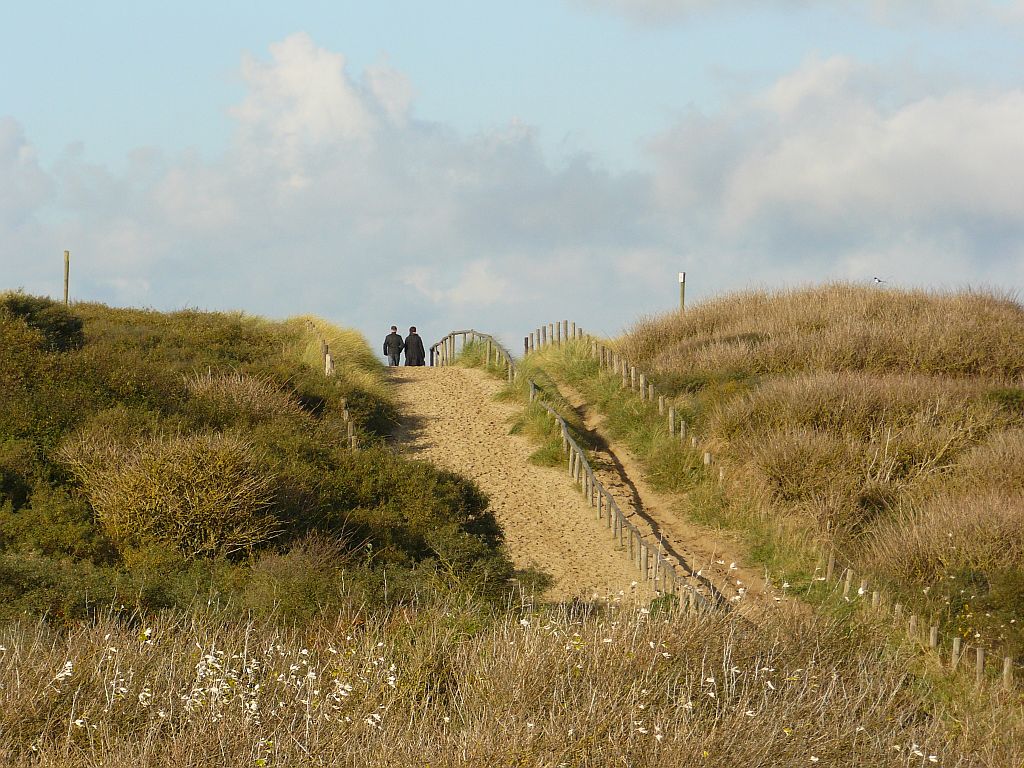 Dne bei Noordwijk am 11-11-2012.

Opgang naar het strand in de duinen bij de Zeeweg, Noordwijk 11-11-2012.