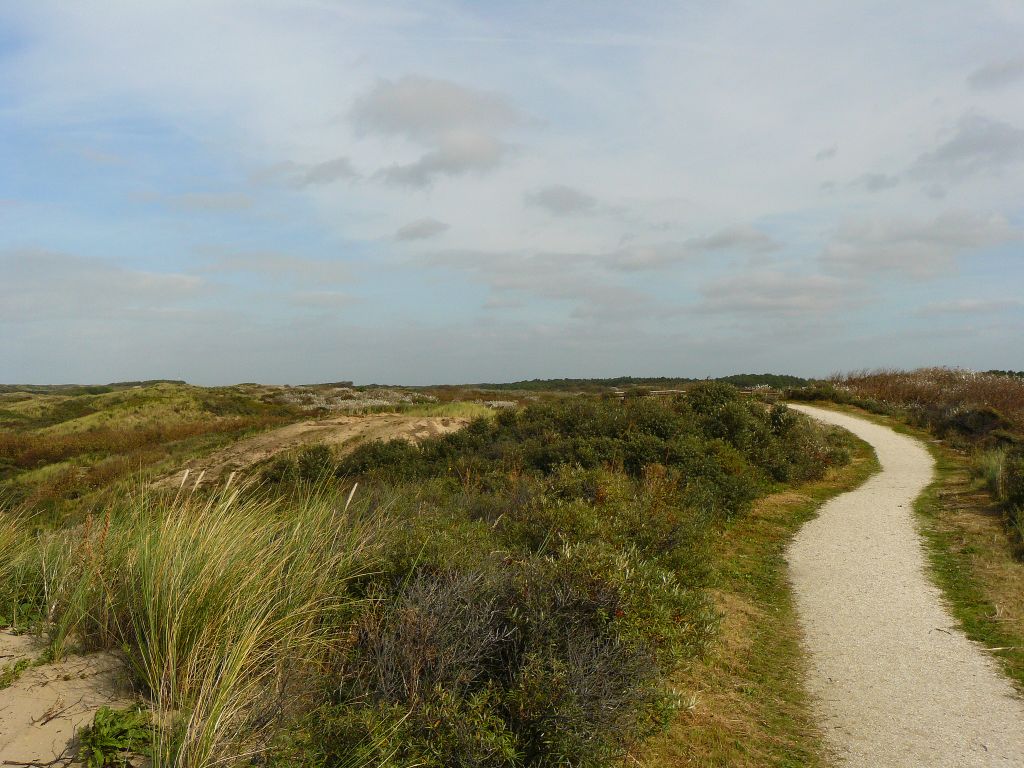 Dne bei Noordwijk Noordwijk 30-09-2012.


Duinen bij de Zeeweg in Noordwijk 30-09-2012.