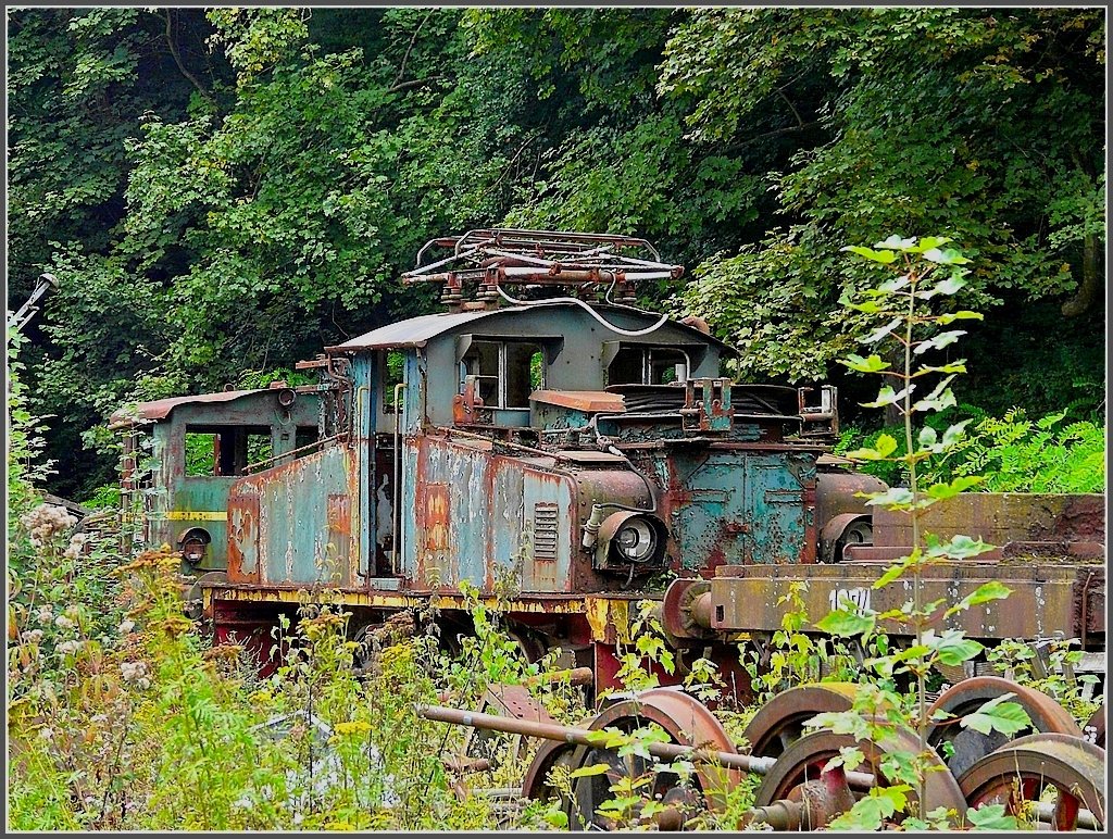 Fast �berwuchert. Fond de Gras 13.09.09 (Jeanny)