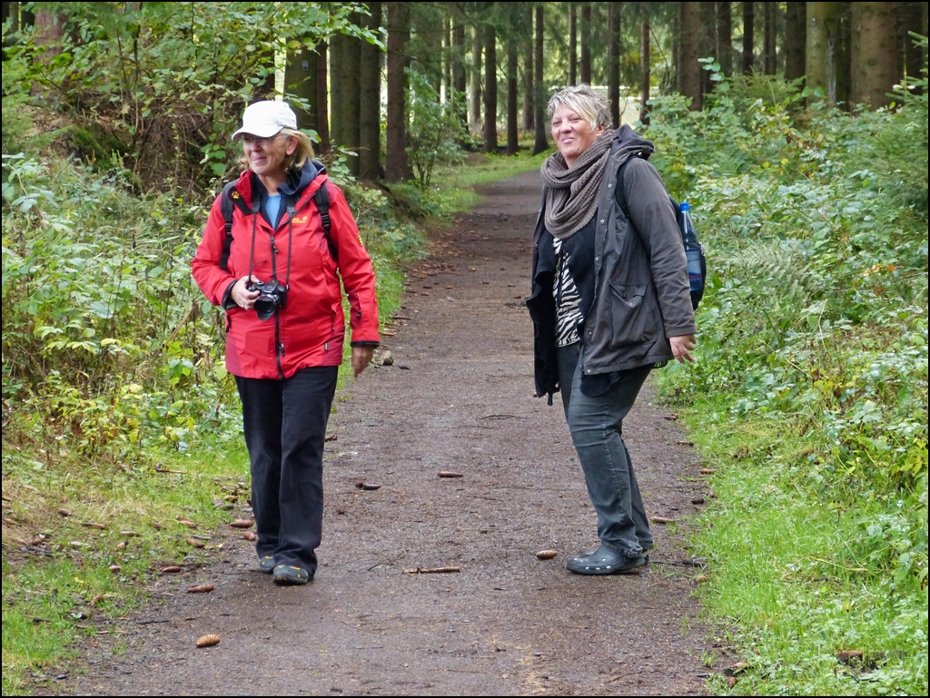 Gesunder Spaziergang zum Druidenstein (Margaretha weiss warum). 14.10.2012 (Hans)