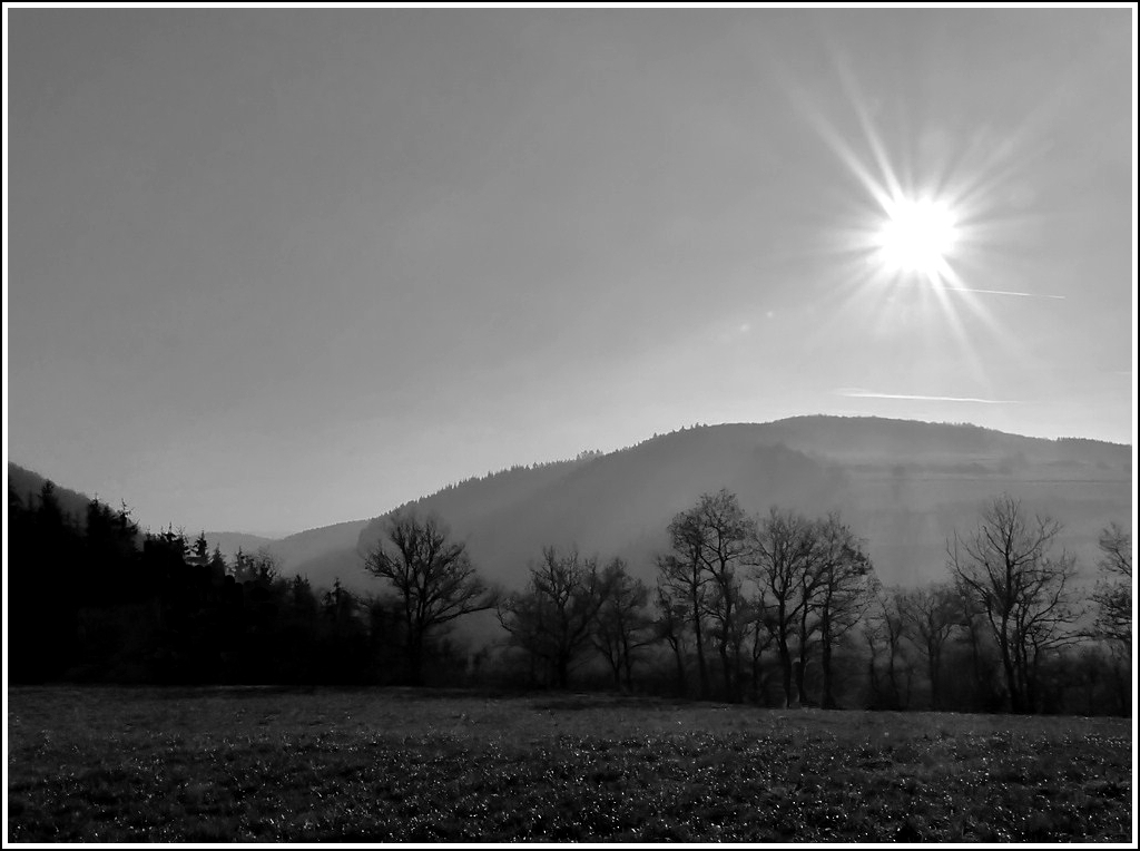 Herbstliche Landschaft in der Nhe von Erpeldange. 14.11.2011 (Jeanny)