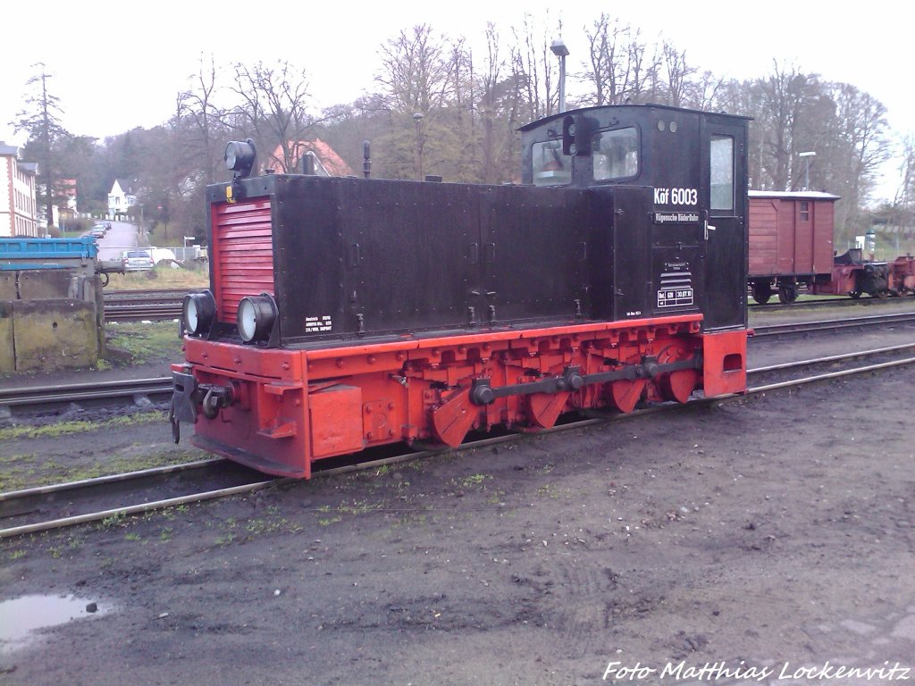 K�f 6003 der R�BB vorm Kleinbahn BW in Putbus am 17.4.13