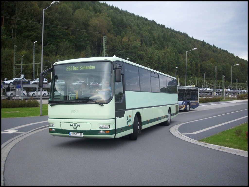 MAN L 313 der Oberelbische Verkehrsgesellschaft in Bad Schandau.