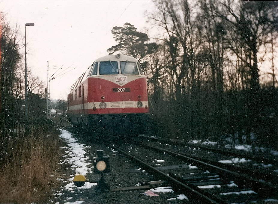 MEG-207 in Binz.