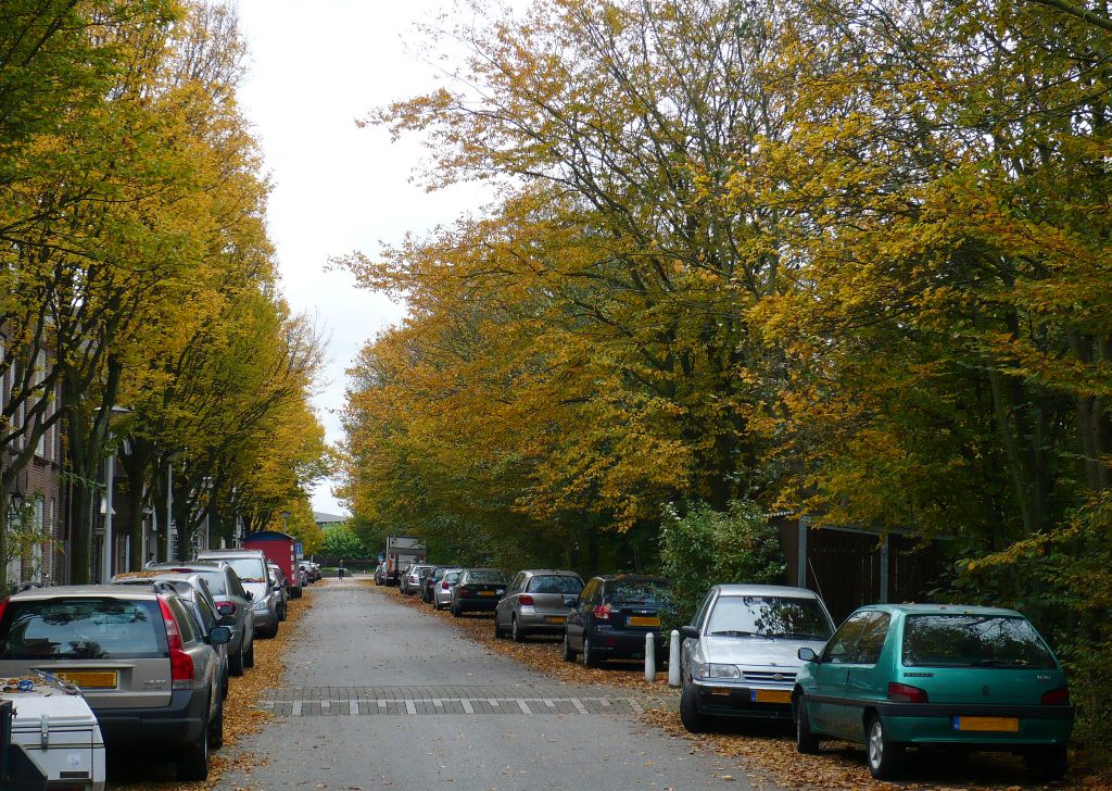 Morsweg, Leiden 25-10-2012.