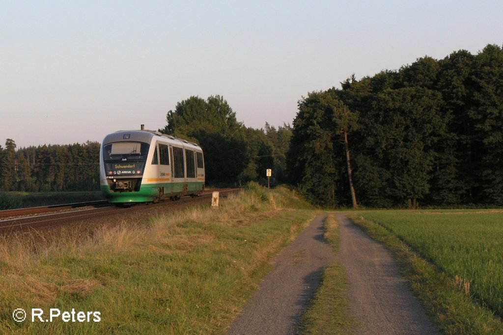 Nachschuss von einer Vogtlandbahn bei Oberteich auf deM Weg nach Schwandorf. 20.08.09