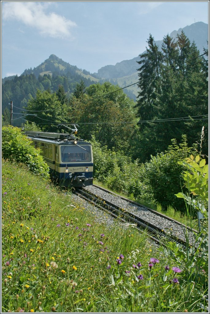 Nicht viel Zug, dafr mehr Sommer zeigt diese Rochers de Naye Bahn Bild.
Oberhalb von Caux, den 14. August 2012