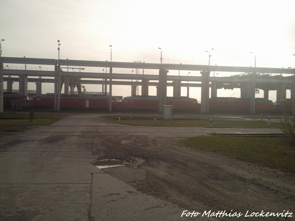 Noch Die 232er & 233er Von Einer Anderen Prspektive In Mukran am 21.10.12
