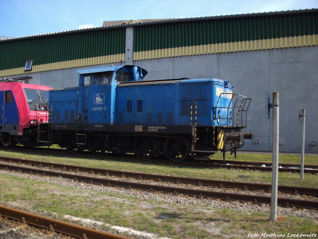 PRESS 346 020-3 (345 213-3) abgestellt bei der Getreide AG am Stralsunder Stadthafen am 7.8.13 