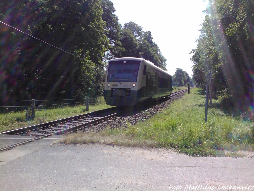 PRESS 650 032-4 unterwegs nach Bergen auf R�gen bei Neklade am 22.7.3
