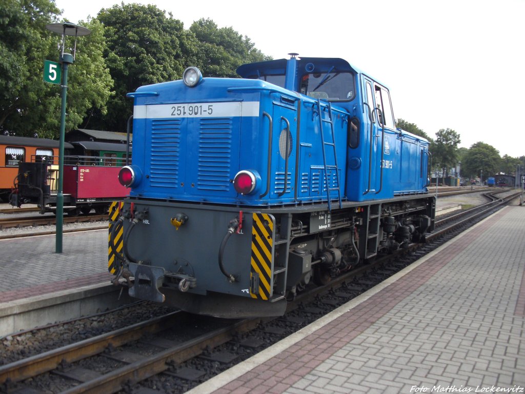 R�BB 251 901 im Bahnhof Putbus am 8.8.13
