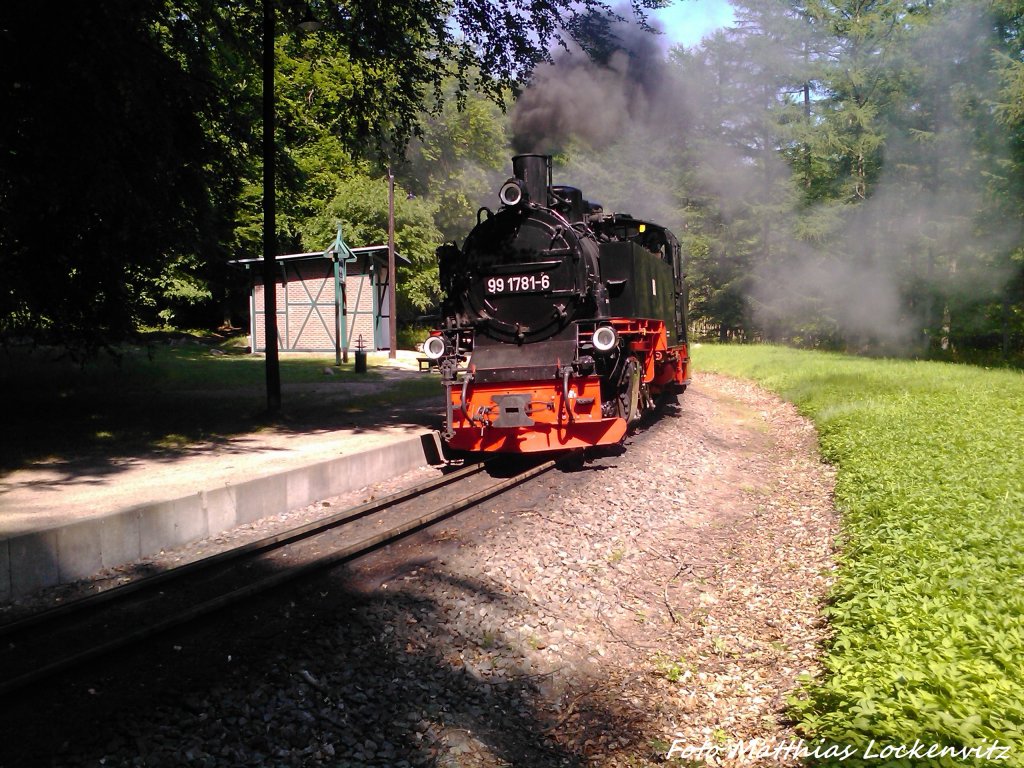 R�BB 99 1781 am Haltepunkt Jagdschloss am 30.5.13 