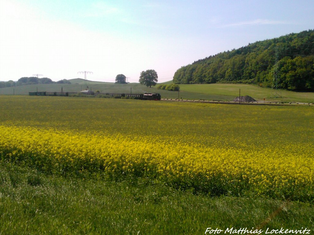 R�BB 99 1784 beim Halten am Haltepunkt Seelvitz am 30.5.13