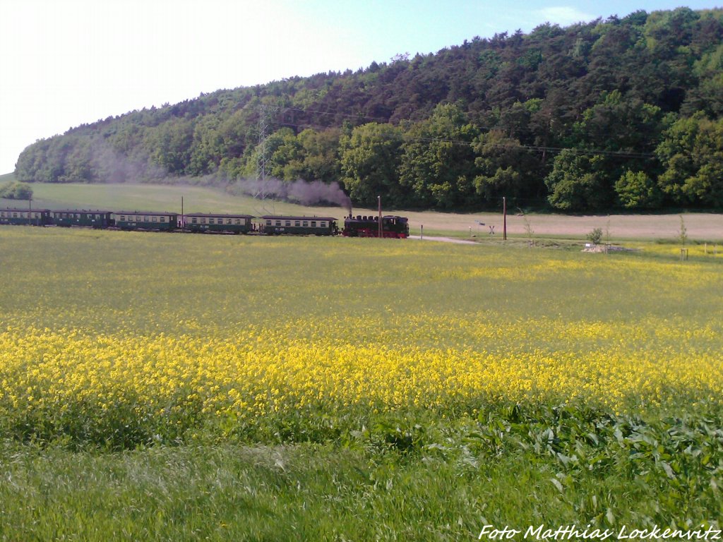 RBB 99 1784 beim Verlassen des Haltepunkts Seelvitz am 30.5.13