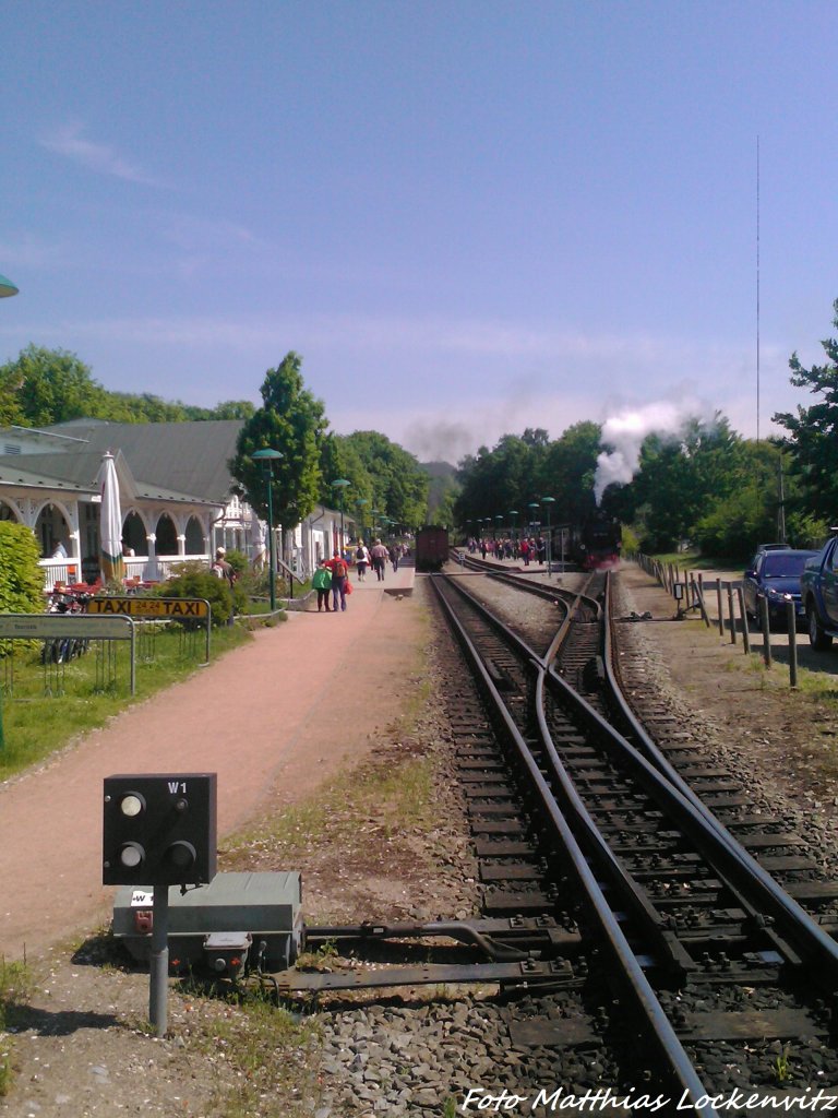 R�BB 99 1784 ist soeben aus G�hren im Bahnhof Binz angekommen und F�hrt in wenigen Minuten weiter nach Putbus am 30.5.13