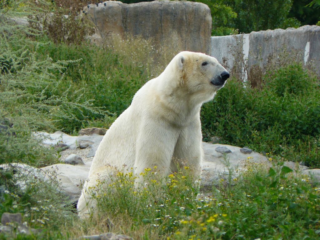 Tiergarten Blijdorp, Rotterdam 12-09-2011.