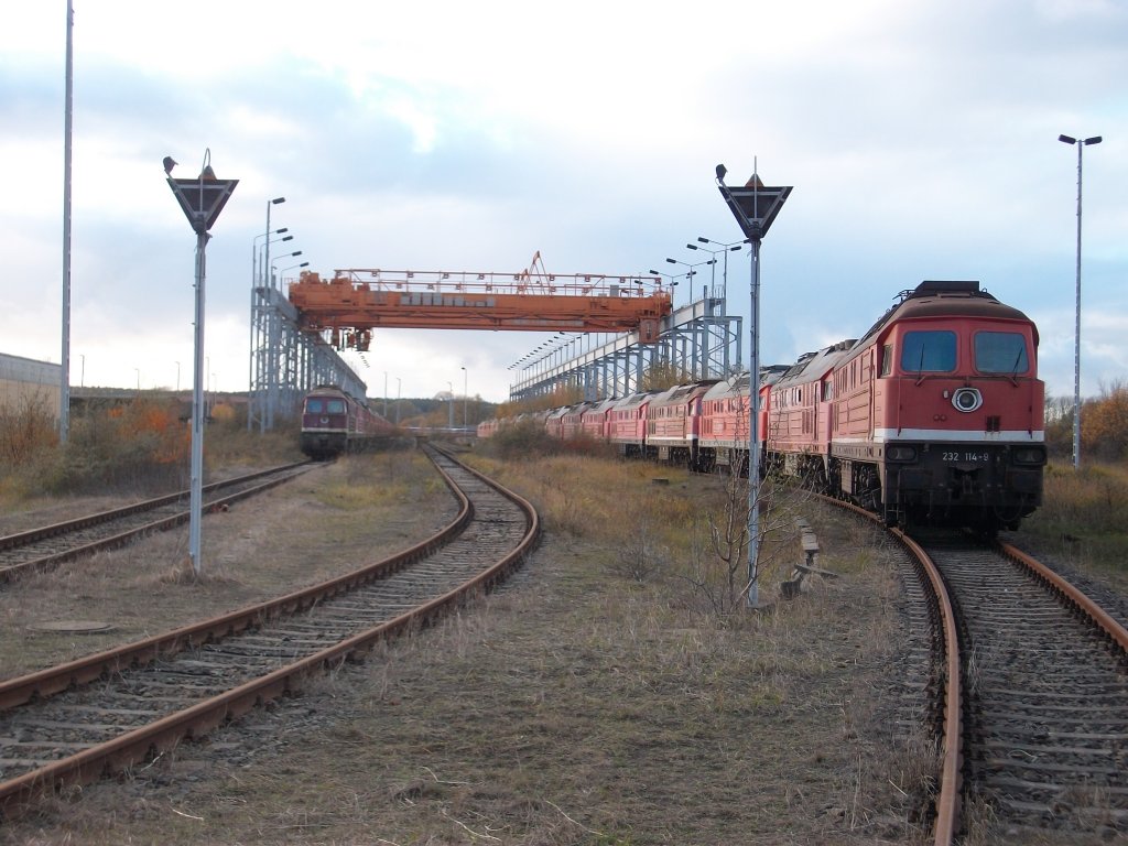 Von den einst drei gefllten Gleise mit Ludmilas,ist einst bereits leer gerumt.Aufnahme am 06.November 2010 in Mukran.