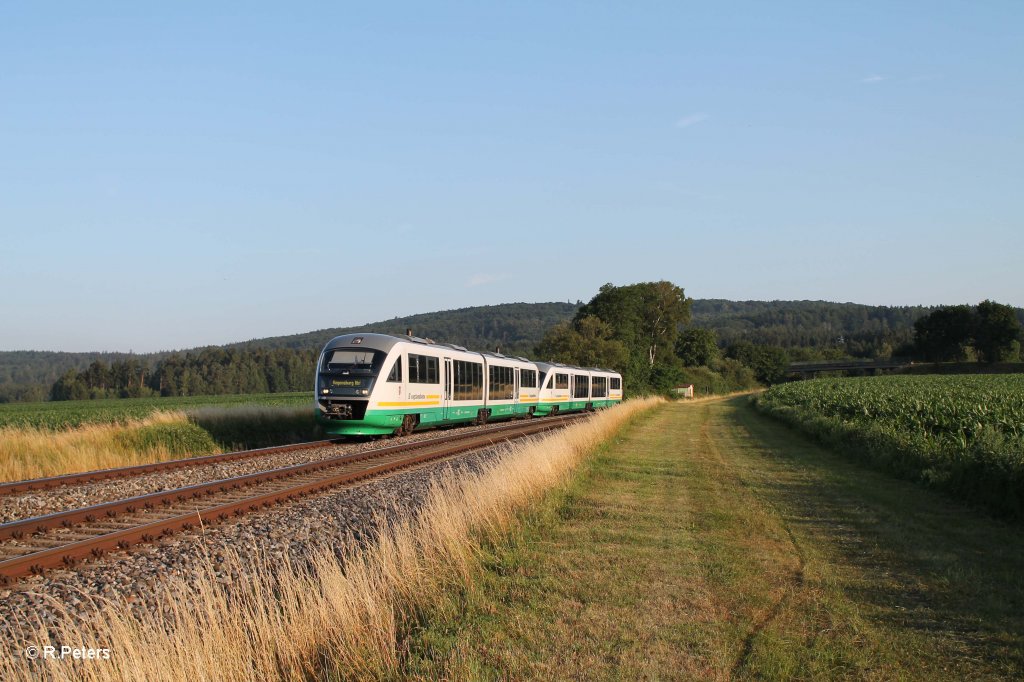 VT10 + VT14 als VBG81107 Marktredwitz - Regensburg bei Oberteich. 19.07.13