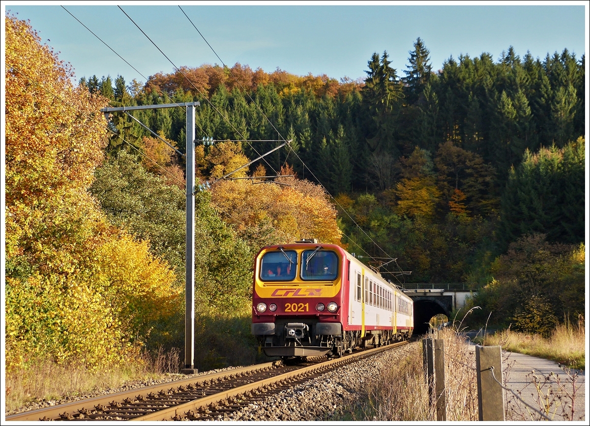 . Im warmen Abendlicht des 22.10.2013 fhrt der Z 2021 als RE 3765 Ettelbrck - Troisvierges durch Lellingen. Hoffentlich kommt niemand auf die Idee diesen praktischen alten Zaun durch ein grnes Monstrum zu ersetzen. ;-) (Jeanny)