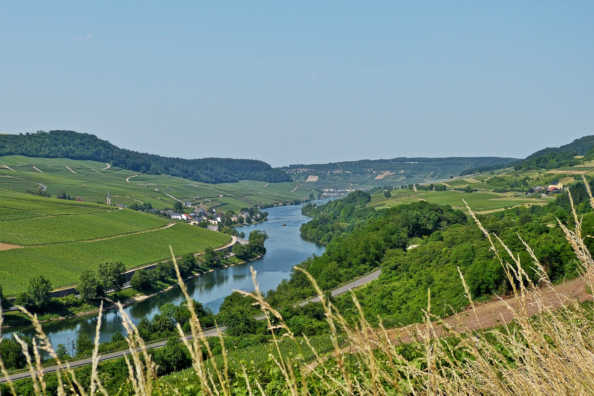 . So sch�n kann es an der Mosel sein. Wincheringen, 09.06.2014 (Jeanny)