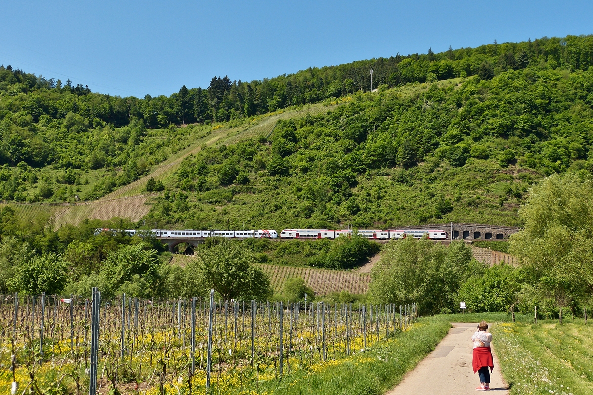 . Was fotografiert die  alte  Dame denn nur, das ist doch sowieso  Motiv verdeckt  - Auf dem Weg zurck zum Auto in Pnderich, kamen noch die beiden gekuppelten CFL KISS und DB Regio Swex aus Richtung Trier und fuhren auf den Pndericher Hangviadukt auf ihrer Reise nach Koblenz. 13.05.2015 (Hans)