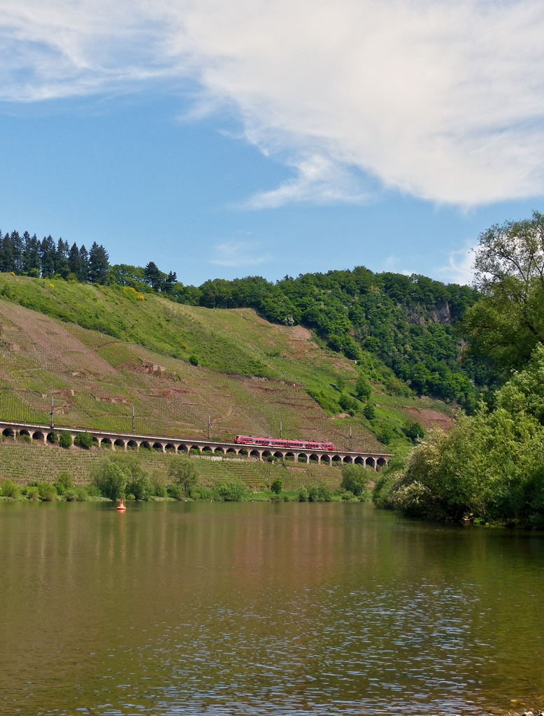 . Zu einem Hamster passt ein Hochkant Bild - Der vierteilige Bombardier Talent 2  Winningen  442 708 / 442 208 fhrt am 13.05.2015 als RB 81  Moseltal-Bahn  (Koblenz – Cochem – Wittlich – Trier) ber den Hangviadukt gegenber dem wunderschnen Moselort Pnderich. (Jeanny) 