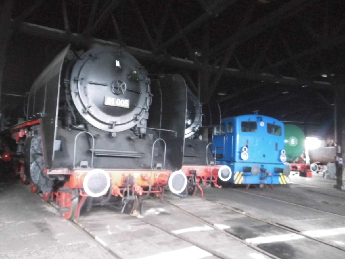 01 005 im Ringlokschuppen des Bw Sta�furt am 7.5.17