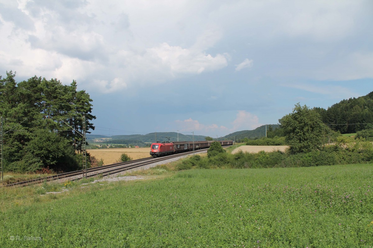 1116 193 mit einem kurzen gedeckten Güterzug bei Darshofen. 23.07.14