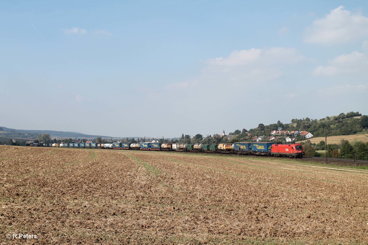 1116 276-7 zieht ein LKW-Walter Zug kurz vor Treuchtlingen bei Wettelsheim gen Süden. 24.09.16