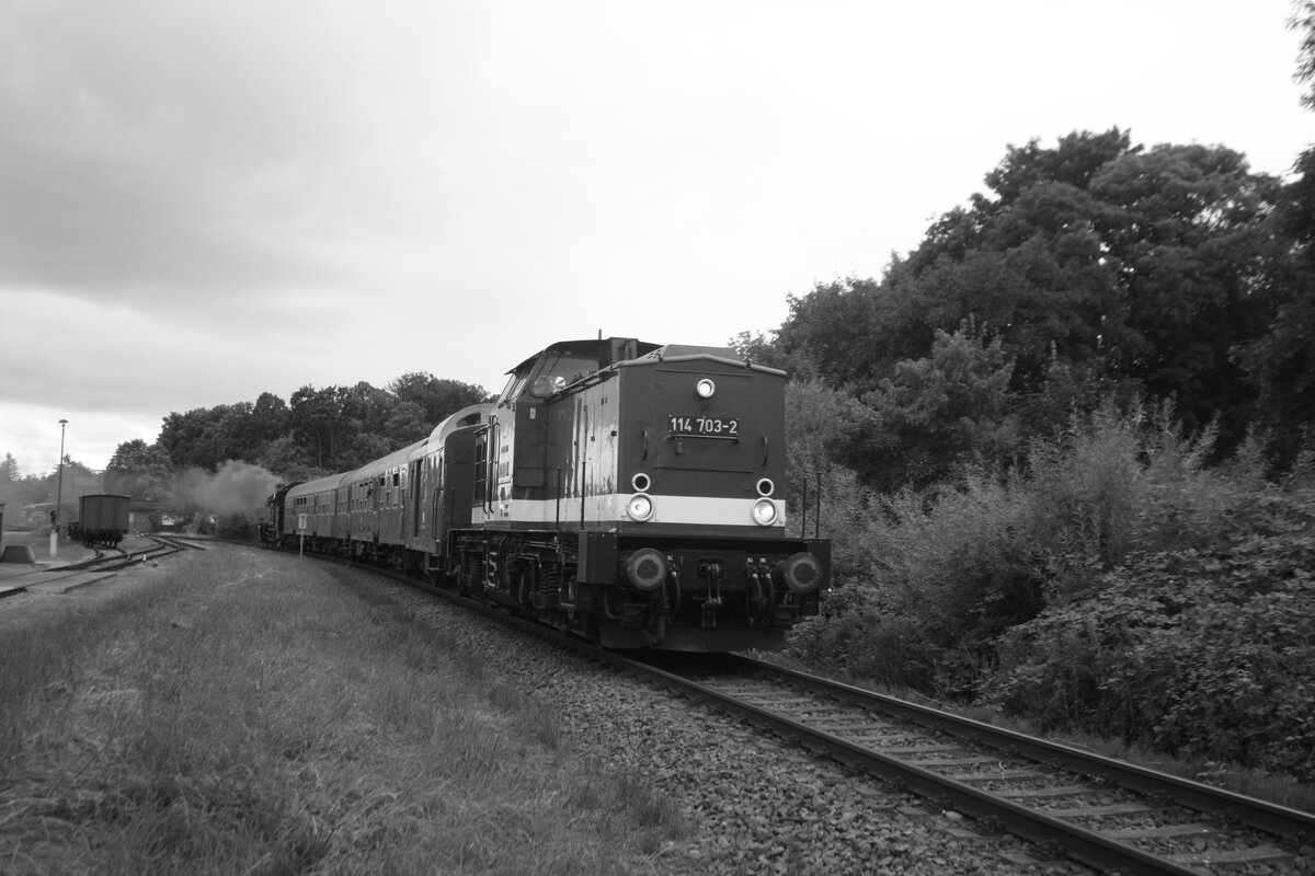 114 703 (203 230) und 86 1744 verlassen Putbus in Richtung Bergen auf R�gen am 1.8.21