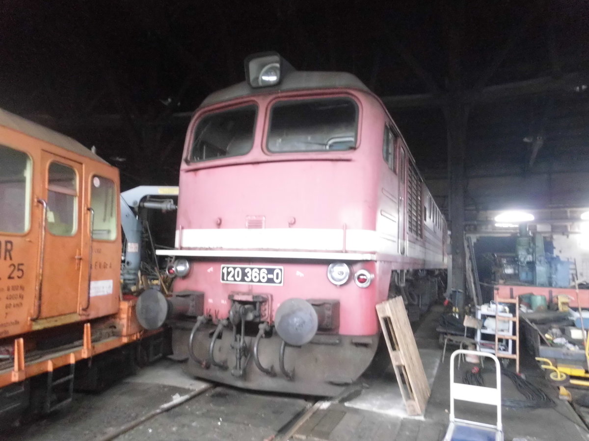 120 366 im Ringlokschuppen des Bw Sta�furt am 7.5.17